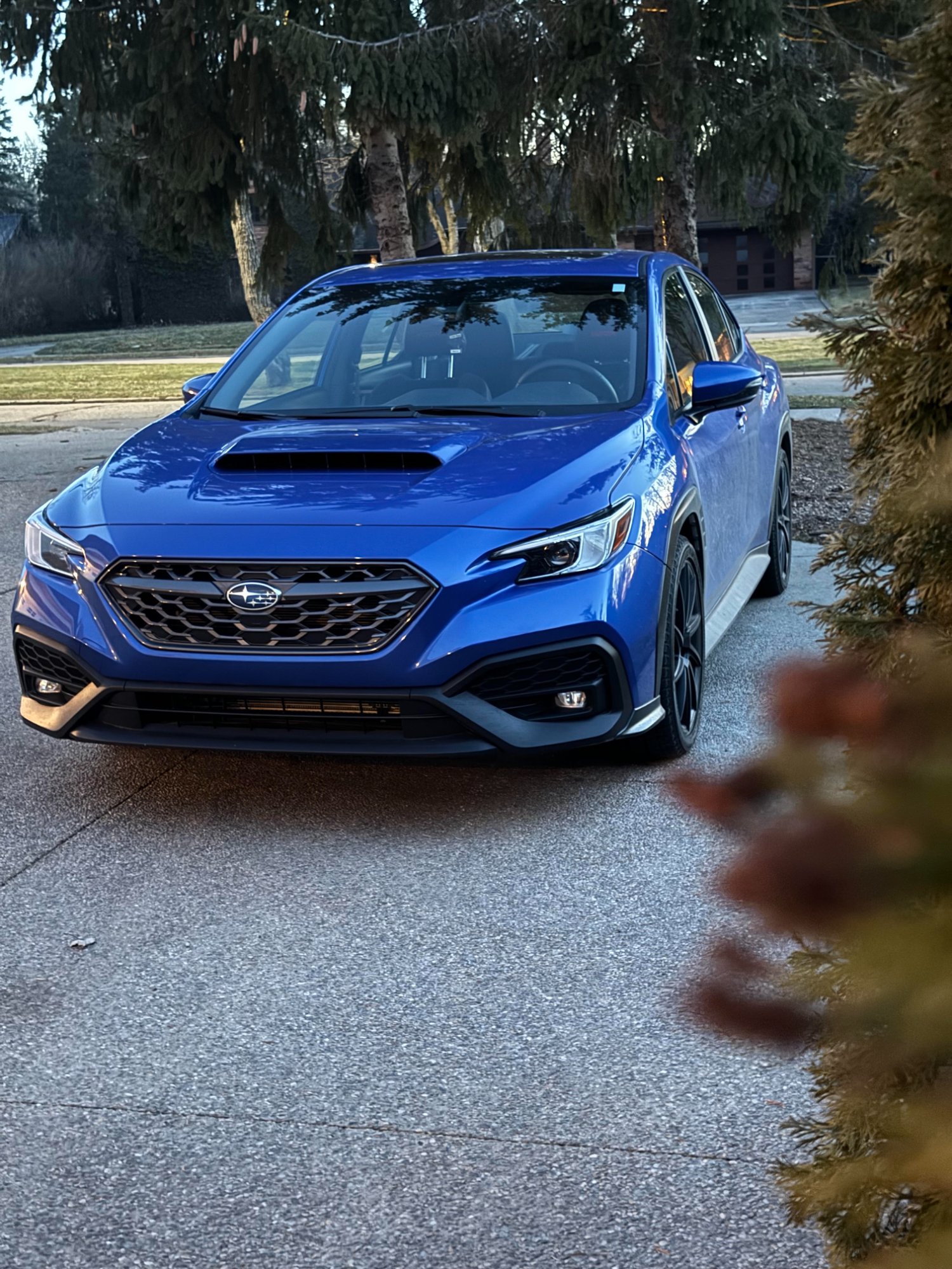 Signature Shine full detail result